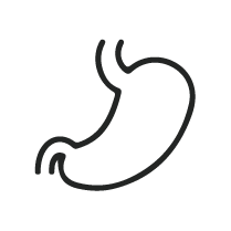 stomach